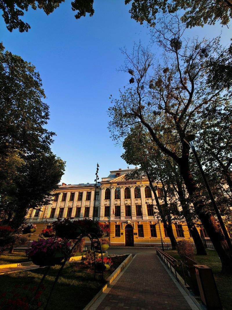 Académie Lumière Éducation 4
